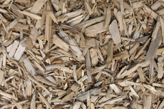 biomass boilers Caldicot